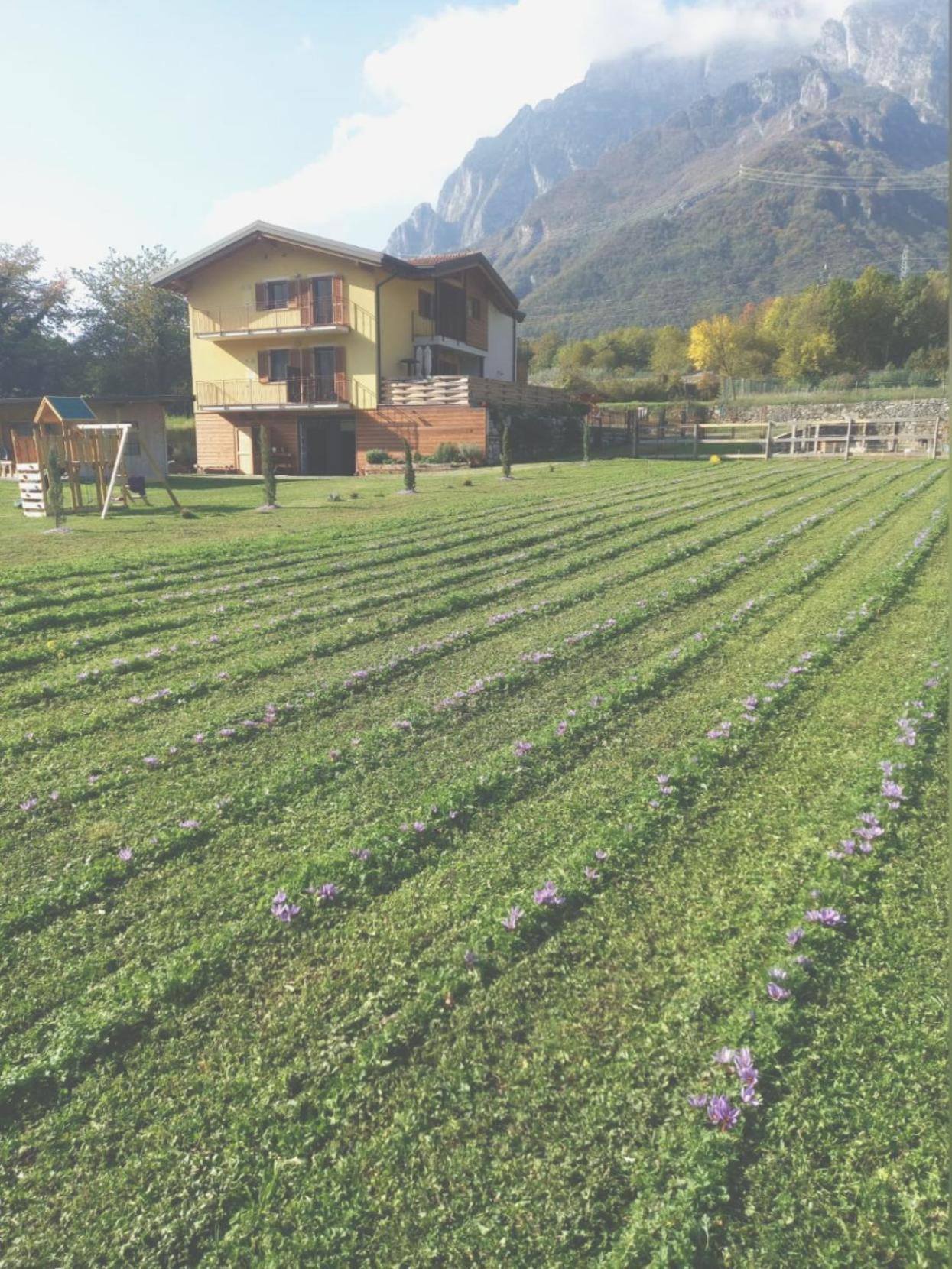 Azienda Agricola Agriturismo I Sei Petali Capo di Ponte Εξωτερικό φωτογραφία